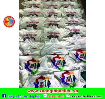 Áo lớp áo nhóm - DN09