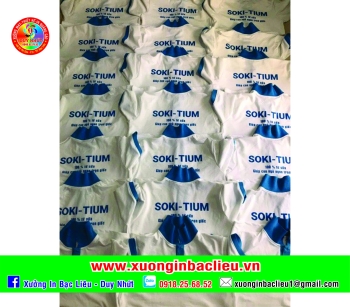 Áo lớp áo nhóm - DN10