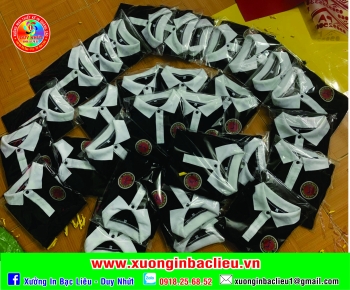 Áo lớp áo nhóm - DN11