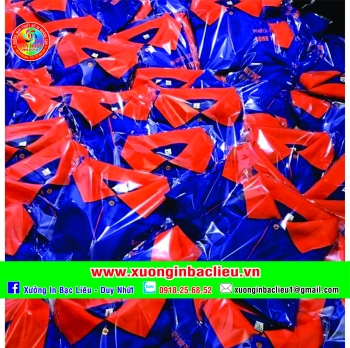 Áo lớp áo nhóm - DN12