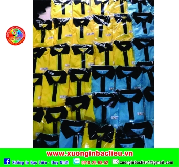 Áo lớp áo nhóm - DN13