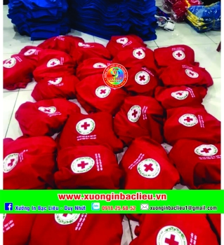 Áo lớp áo nhóm - DN15