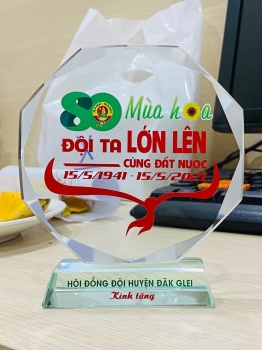 Kỷ niệm chương thủy tinh - DN5