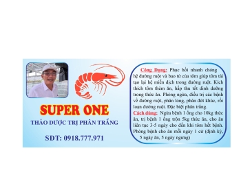 Tem nhãn decal vỡ, 7 màu, ép kim, deca nhựa, decal giấy - DN18